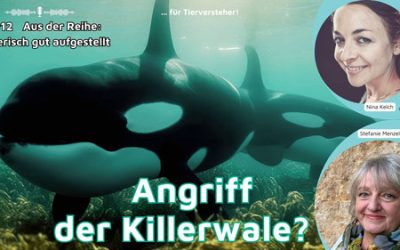 Angriff der Killerwale?