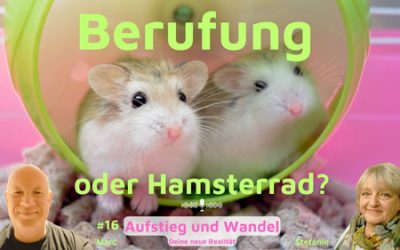 Berufung oder Hamsterrad?