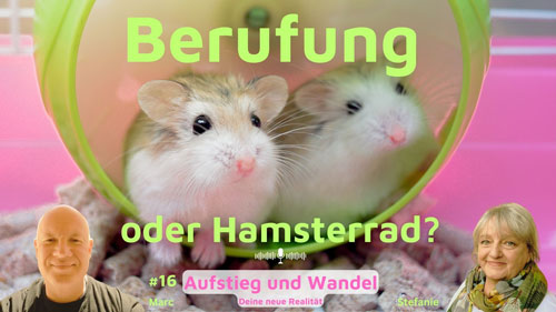 Berufung oder Hamsterrad?